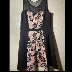 Enfocus Studio Dress